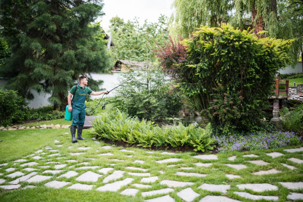 Trusted Monterey, CA Pest Control Experts