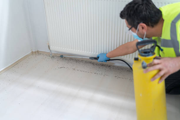 Best Residential Pest Control  in Monterey, CA